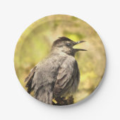グレーキャットバードサンザーズ歌紙プレート ペーパープレート (正面)