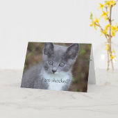 グレーキャットベレーテッド誕生日 カード (黄色い花)