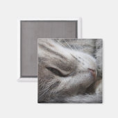 グレーキャットマグネット マグネット (正面/裏面)