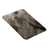 グレーキャットマグネット マグネット (右側)