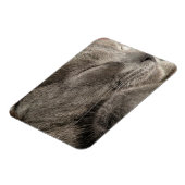 グレーキャットマグネット マグネット (左側)