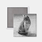 グレーキャットマグネット マグネット (正面/裏面)