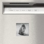 グレーキャットマグネット マグネット (インサイチュ (食洗機))