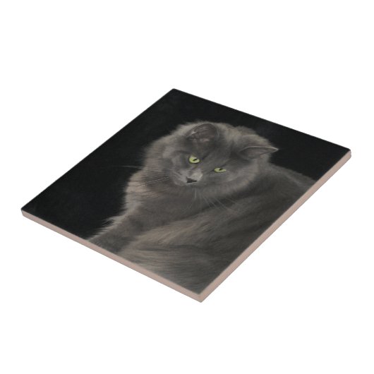 グレーキャットロングヘアブルーロシアの子猫かわいい タイル (側面)