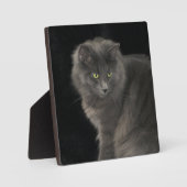 グレーキャットロングヘアブルーロシアの子猫かわいい フォトプラーク (正面)