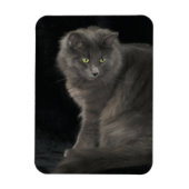 グレーキャットロングヘアブルーロシアの子猫かわいい マグネット (縦)
