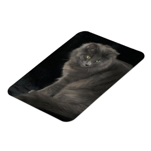 グレーキャットロングヘアブルーロシアの子猫かわいい マグネット (左側)