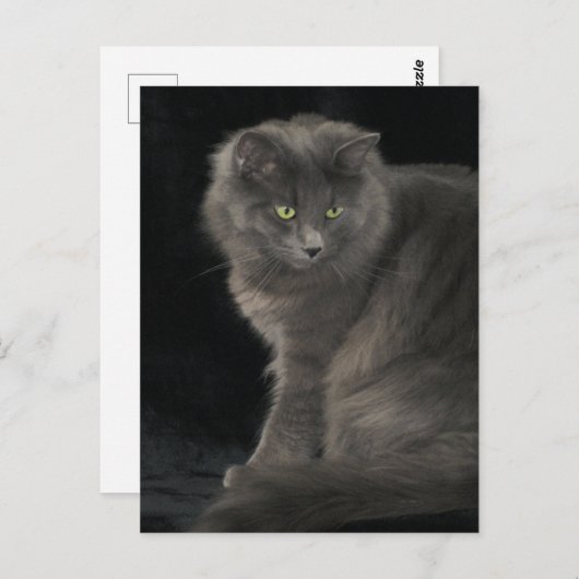 グレーキャットロングヘアブルーロシアの子猫子猫可愛い  ポストカード (正面/裏面)