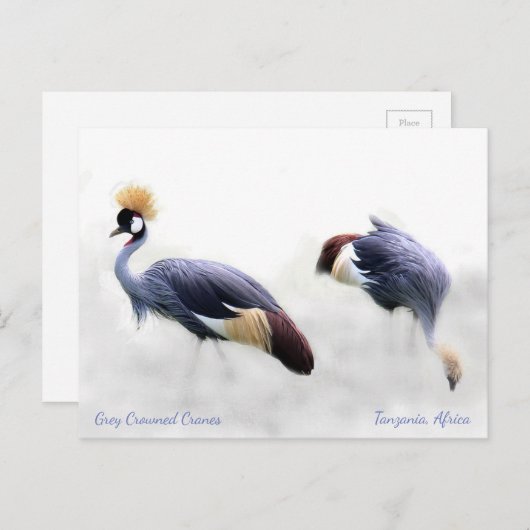 グレークラウンドクレーン ポストカード (正面/裏面)