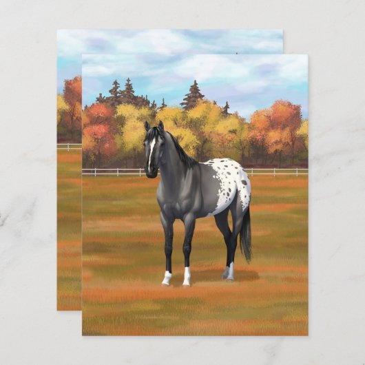 グレーグルラアパロオサクォーターホーススタリオン (正面/裏面)