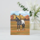 グレーグルラアパロオサクォーターホーススタリオン (スタンド正面)