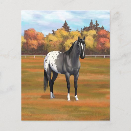 グレーグルラアパロオサクォーターホーススタリオン (裏面)