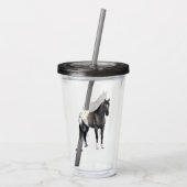 グレーグルラアパロオサクォーターホーススタリオン アクリルタンブラー (裏面)
