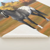 グレーグルラアパロオサクォーターホーススタリオン シェルパブランケット (3/4)