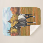 グレーグルラアパロオサクォーターホーススタリオン シェルパブランケット (正面(横))