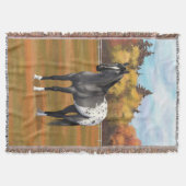 グレーグルラアパロオサクォーターホーススタリオン スローブランケット (正面)