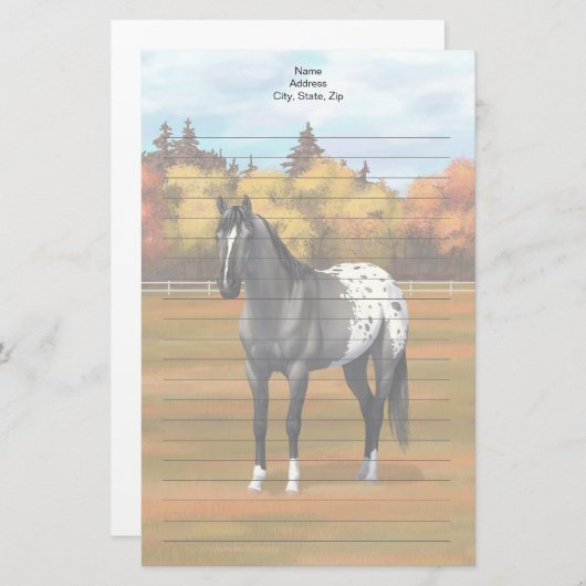 グレーグルラアパロオサクォーターホーススタリオン 便箋 (正面/裏面)