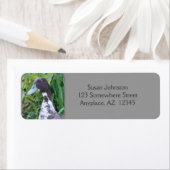 グレーグースファームアニマル住所 シール (インサイチュ)