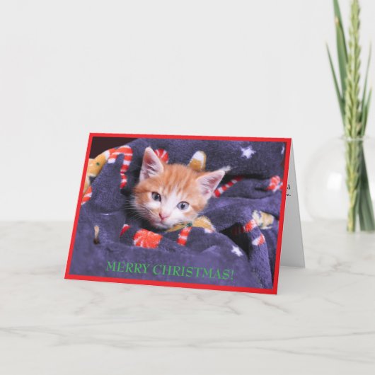 グレーケットの子猫 メリークリスマス オレンジの子猫 シーズンカード (正面)