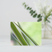 グレーザー ポストカード (スタンド正面)