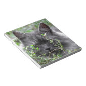 グレーシベリア子猫 ノートパッド (アングル)