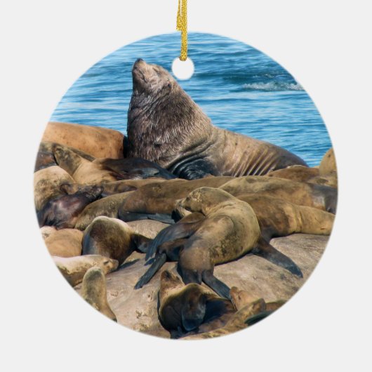 グレーシャー入江の国立公園のオーナメント セラミックオーナメント (裏面)