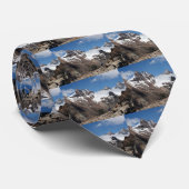 グレーシャー国立公園山、アルゼンチン2 ネクタイ (ロール)