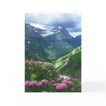 グレーシャー国立公園