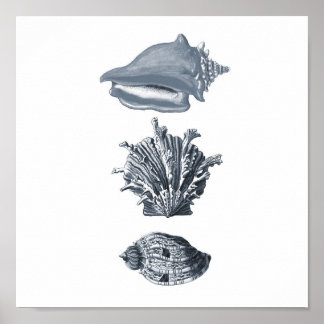 グレーシーシェルビーチデコールプリント#8 ポスター