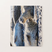 グレーシーリング、ジグソーパズル ジグソーパズル (縦)