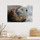 グレーシールオンアイス ポスター (キッチン)