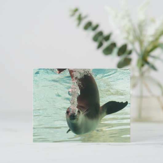 グレーシールノーズから水中の気泡をダイビング ポストカード (スタンド正面)