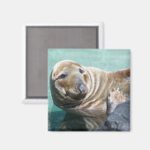 グレーシールポートレート マグネット (正面/裏面)