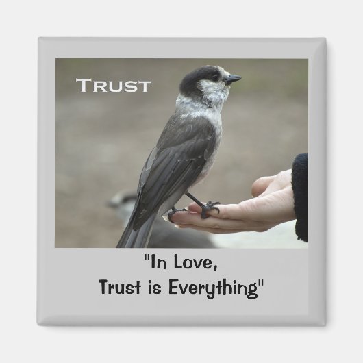 グレージェイ磁やる気を起こさせる石 マグネット (正面)