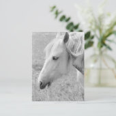 グレージンググレー ポストカード (スタンド正面)