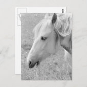 グレージンググレー ポストカード (正面/裏面)