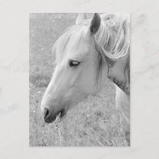 グレージンググレー ポストカード (正面)