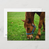 グレージングチェストナッストライプト() ポストカード (正面/裏面)