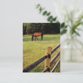 グレージングベイ ポストカード (スタンド正面)