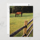 グレージングベイ ポストカード (正面/裏面)