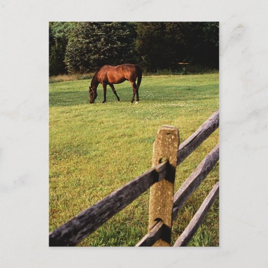 グレージングベイ ポストカード (正面)