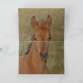 グレースと彼女の2つの汚れ野生の馬のグリーティングカード サンキューカード (内部)