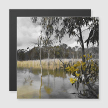 グレースカイス磁気カードの下の反射