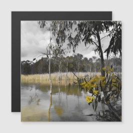 グレースカイス磁気カードの下の反射