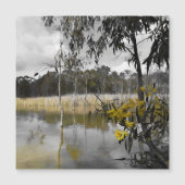 グレースカイス磁気カードの下の反射 (正面)