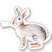 グレースタイリッシュ&ブラウン動物うさぎステッカー シール (正面)