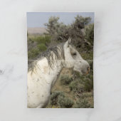 グレースタリオンダウ来ンダウンヒルホースグリーティングカード カード (内部)