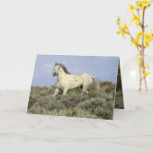 グレースタリオンダウ来ンダウンヒルホースグリーティングカード カード (黄色い花)
