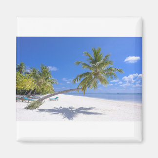 グレースベイ、タークス&カイコスサンド&ブルー海ウェーブ マグネット