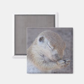 グレースマグネット マグネット (正面/裏面)